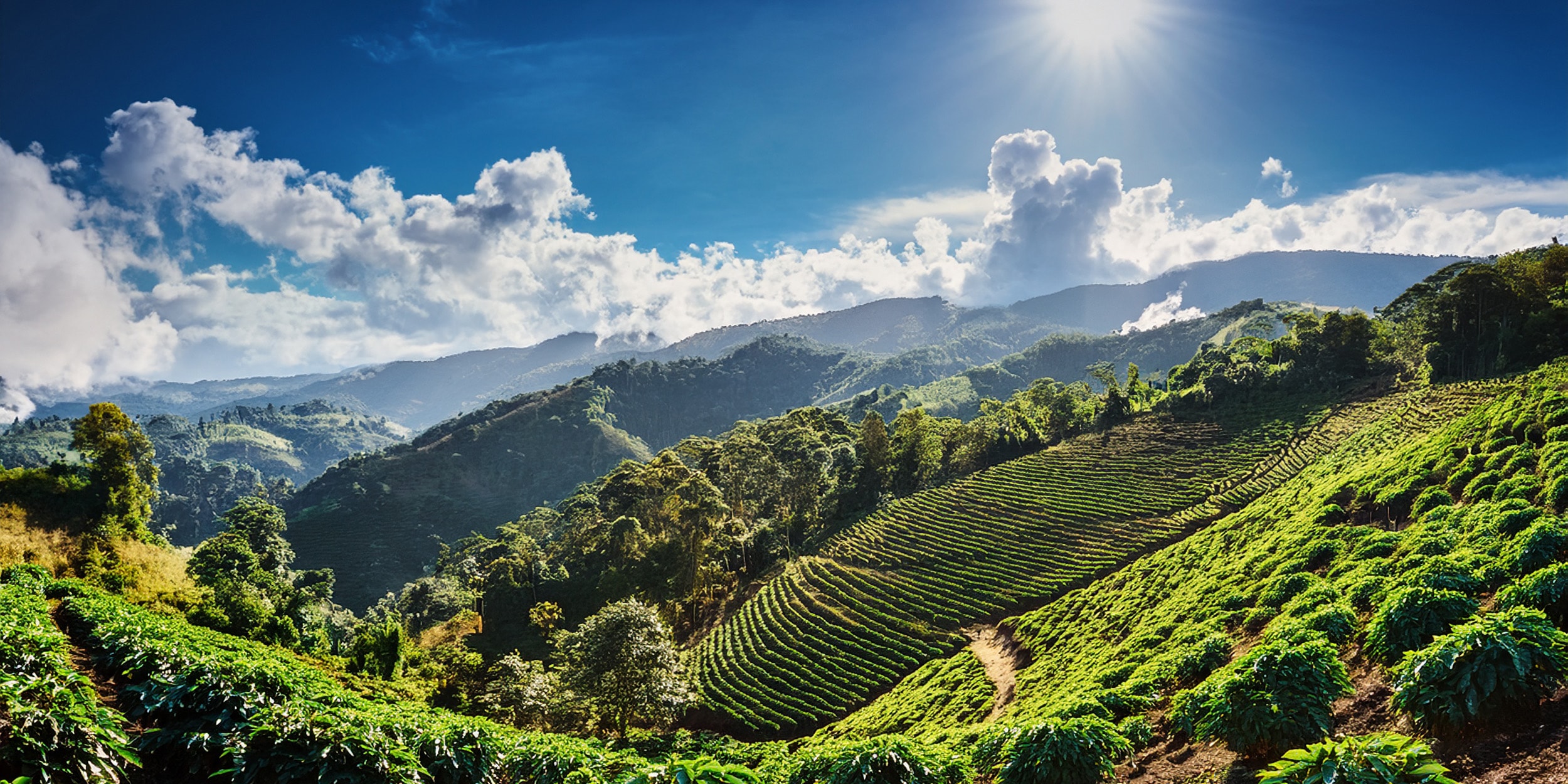 Vibrant landscape with mountains, river, and sunset